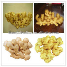 dry ginger 200g